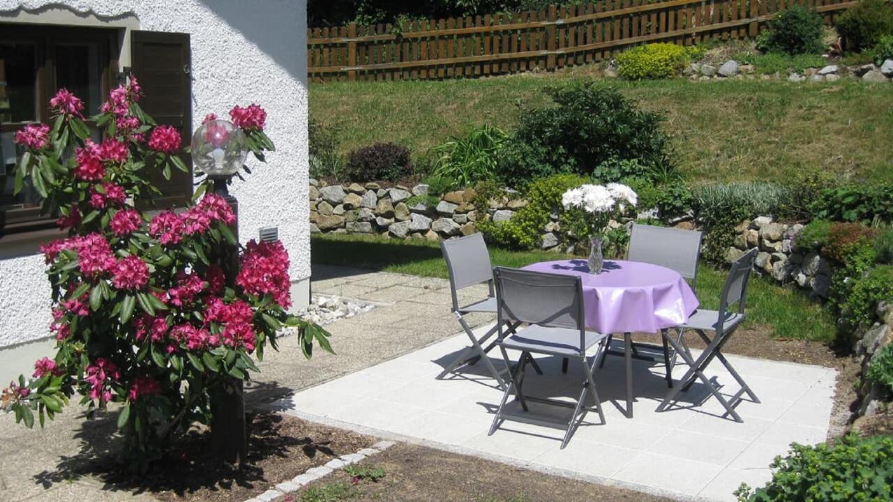 Ferienwohnung Buecherl Waldmünchen エクステリア 写真